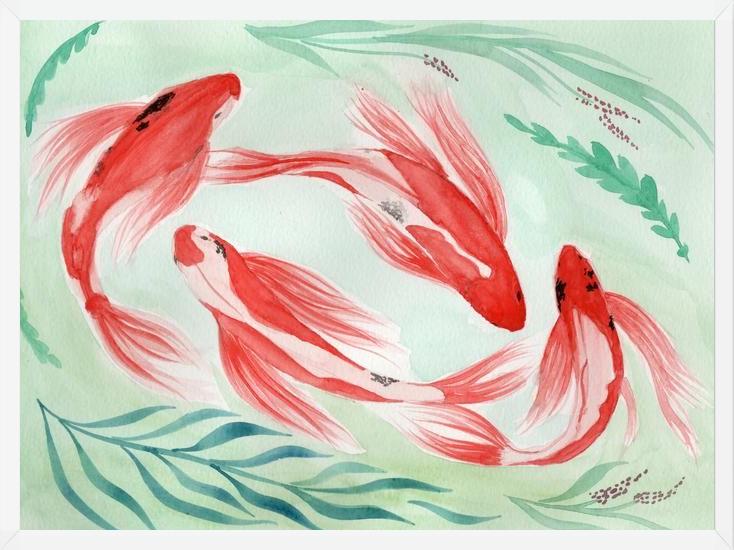 Cuadro Peces Koi