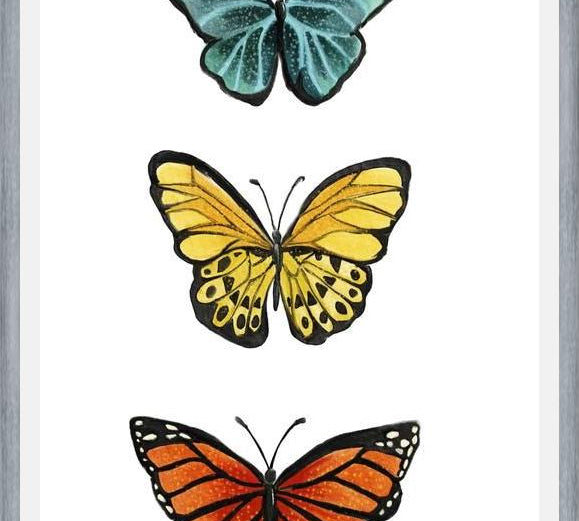 Cuadro Mariposas <3