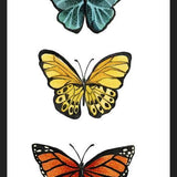 Cuadro Mariposas <3