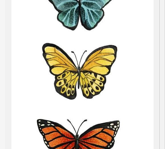 Cuadro Mariposas <3