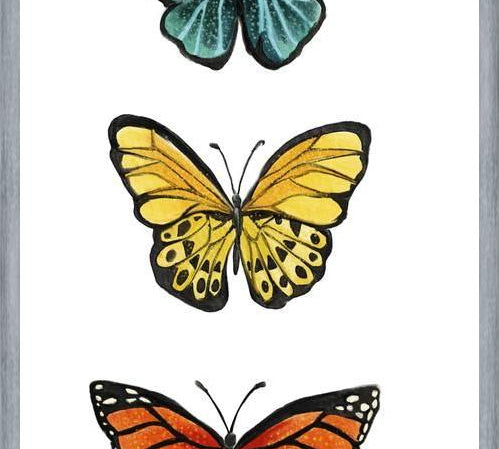 Cuadro Mariposas <3