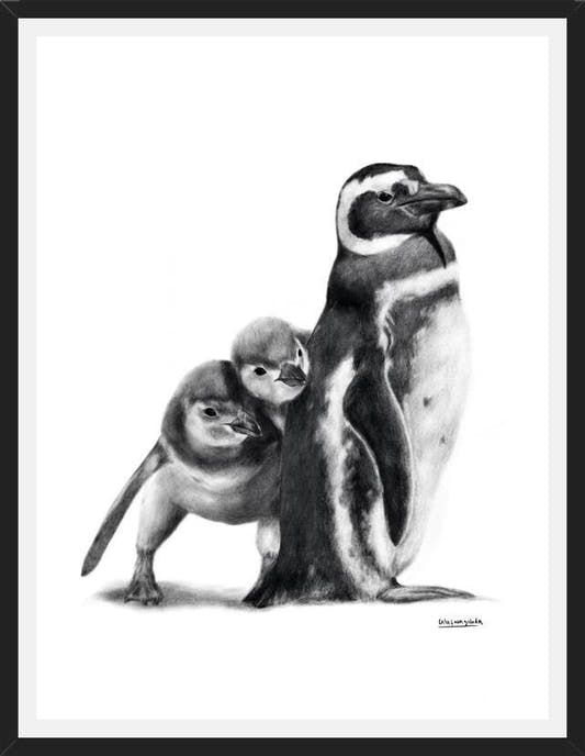Cuadro Familia Pingüinos de Humboldt