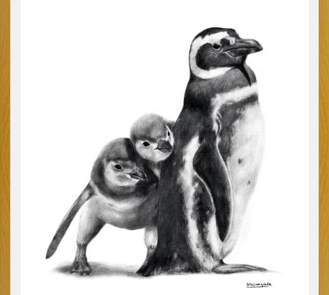 Cuadro Familia Pingüinos de Humboldt