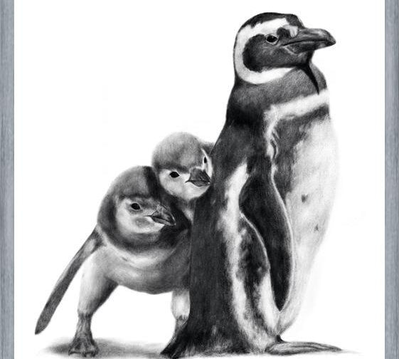 Cuadro Familia Pingüinos de Humboldt