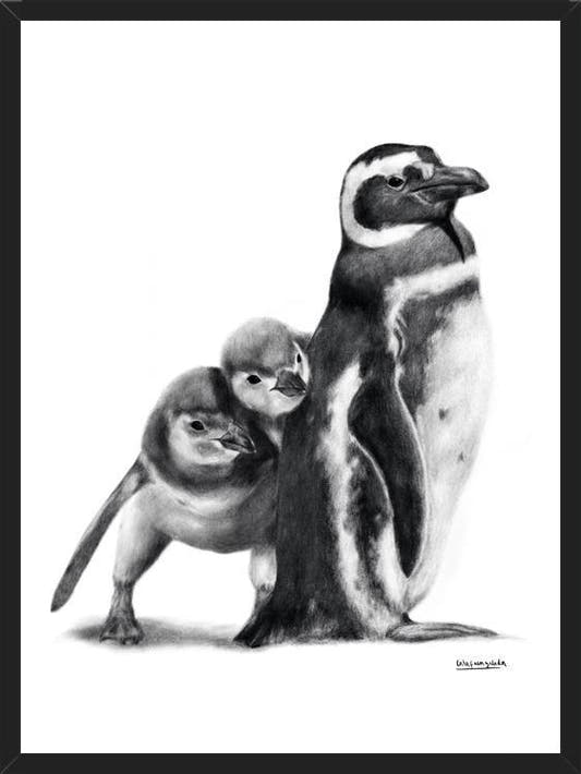 Cuadro Familia Pingüinos de Humboldt