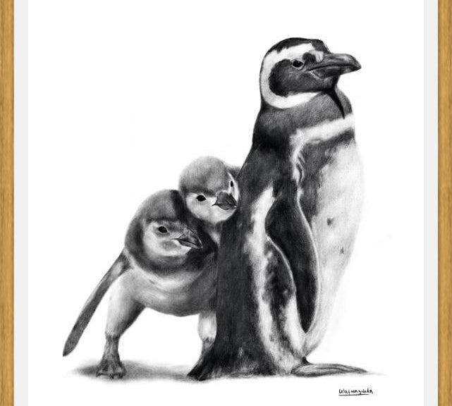 Cuadro Familia Pingüinos de Humboldt