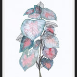 Cuadro Watercolor + ink leaves V