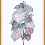 Cuadro Watercolor + ink leaves V