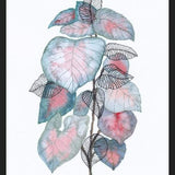 Cuadro Watercolor + ink leaves V