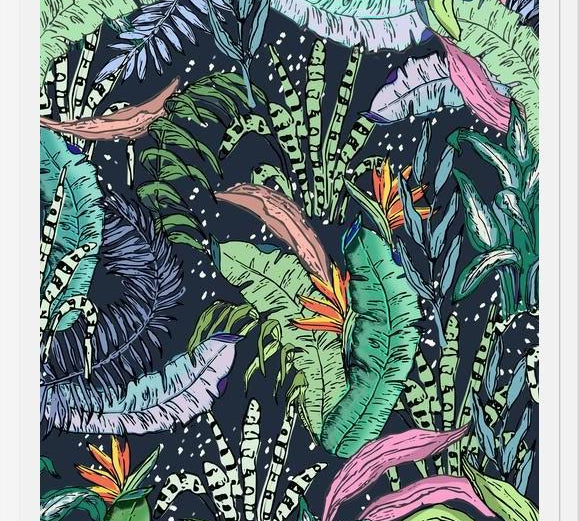 Cuadro Jungle tropical 002