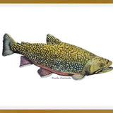 Cuadro Trucha Fontinalis