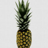 Canvas Pineapple