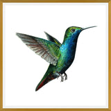 Cuadro Picaflor