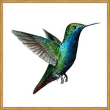 Cuadro Picaflor