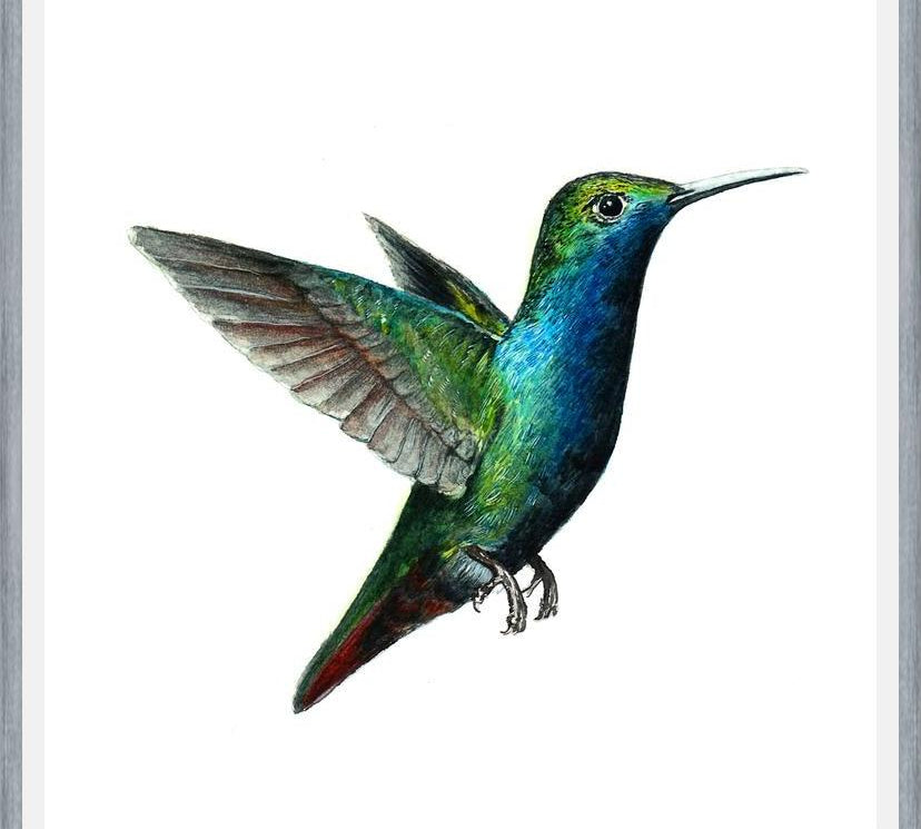 Cuadro Picaflor