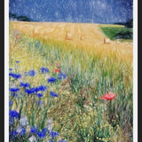 Cuadro Flowery Field