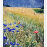 Cuadro Flowery Field