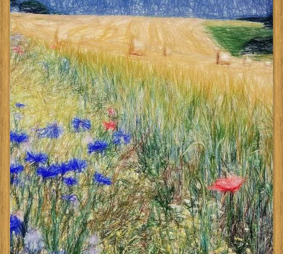 Cuadro Flowery Field