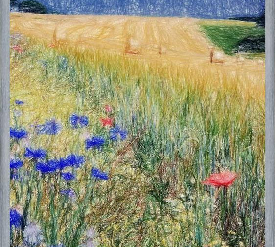 Cuadro Flowery Field