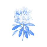 Canvas Blue Flowers II