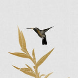 Canvas Hummingbird and Flower II