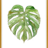 Cuadro Leaf #8