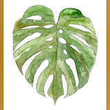 Cuadro Leaf #8