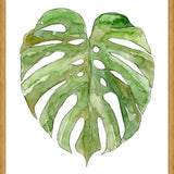 Cuadro Leaf #8