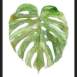 Cuadro Leaf #8