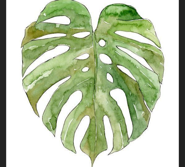 Cuadro Leaf #8