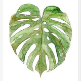 Cuadro Leaf #8