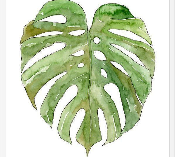 Cuadro Leaf #8