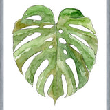 Cuadro Leaf #8