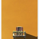 Cuadro Balcon Lago de como