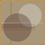 Cuadro Transparent Circles with Lines