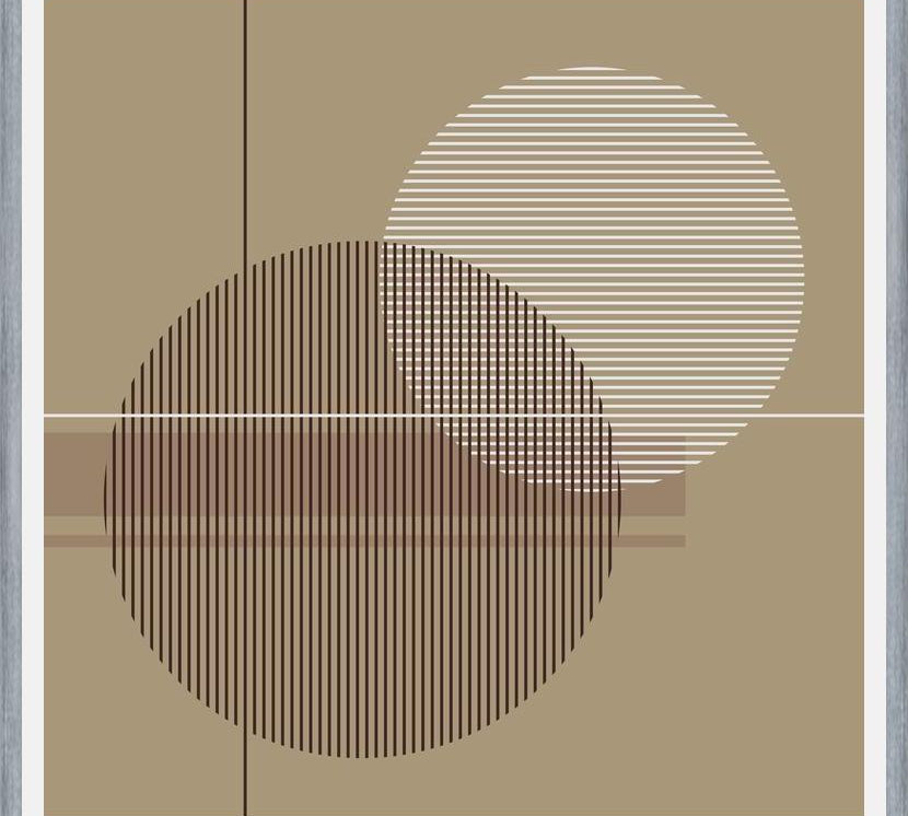 Cuadro Transparent Circles with Lines