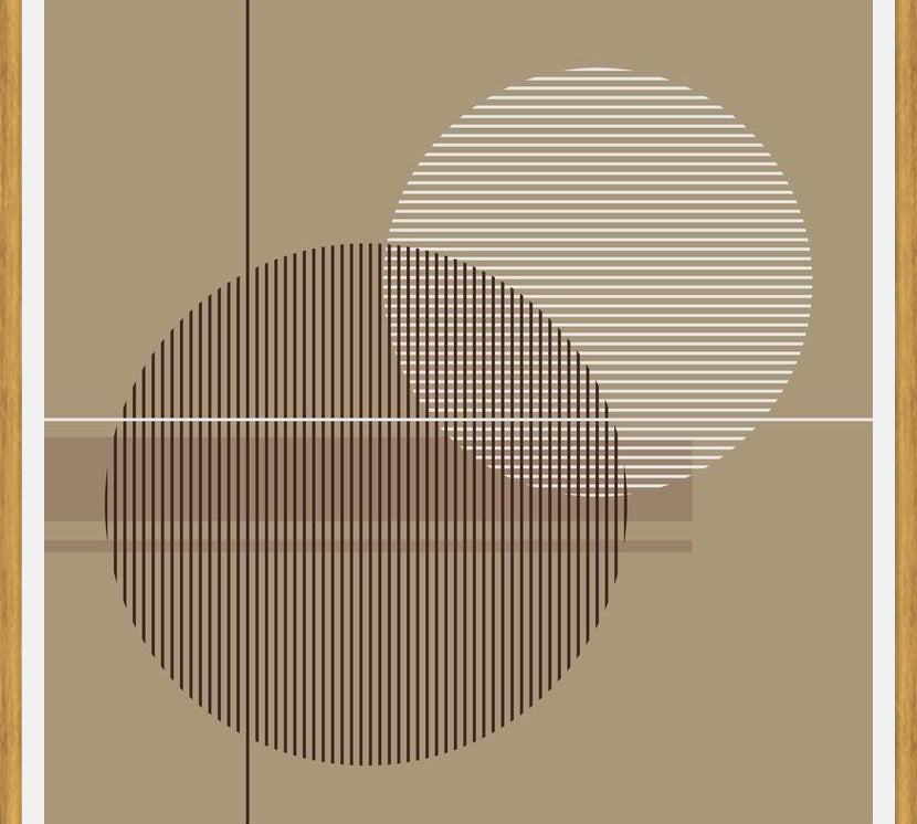 Cuadro Transparent Circles with Lines