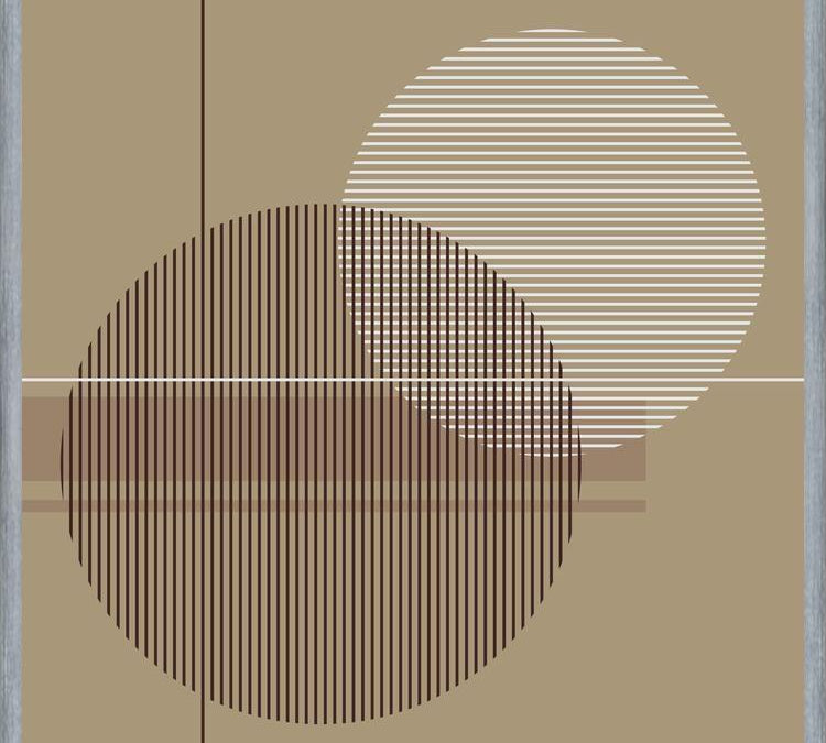 Cuadro Transparent Circles with Lines