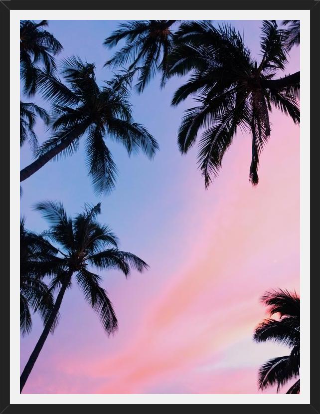 Cuadro Sunset Palms