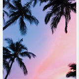 Cuadro Sunset Palms