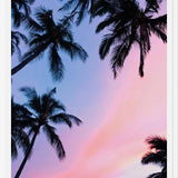 Cuadro Sunset Palms
