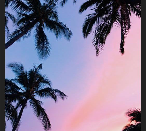 Cuadro Sunset Palms