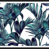 Cuadro tropical