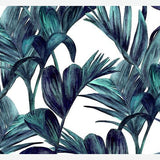 Cuadro tropical