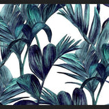 Cuadro tropical
