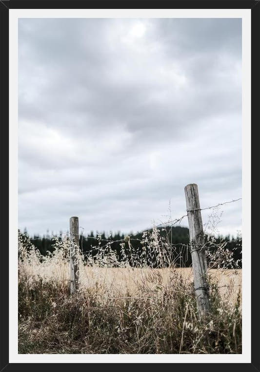 Cuadro notion #3