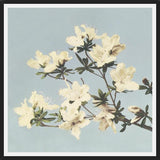 Cuadro Cream and LightBlue