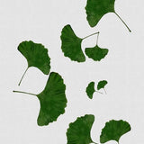 Canvas Ginkgo Leaf I