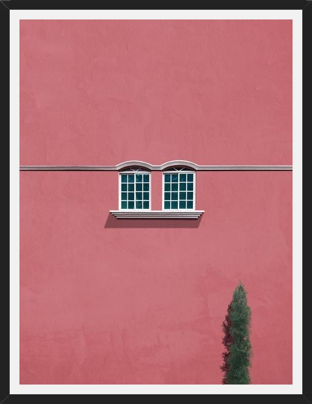 Cuadro Las ventanas y el pino