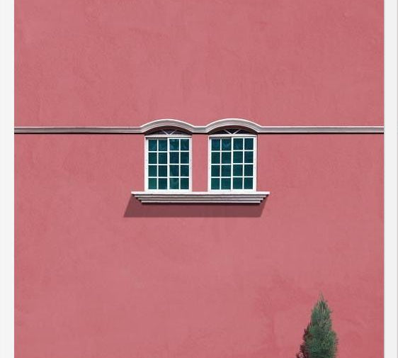 Cuadro Las ventanas y el pino